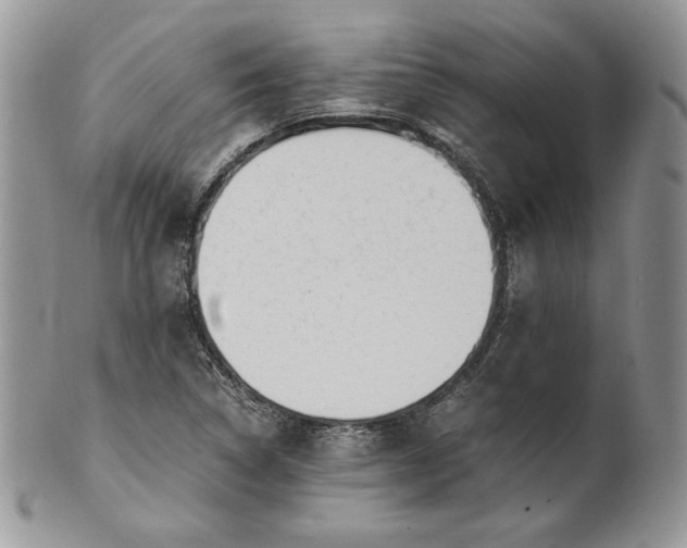 X0000101961314200808011059