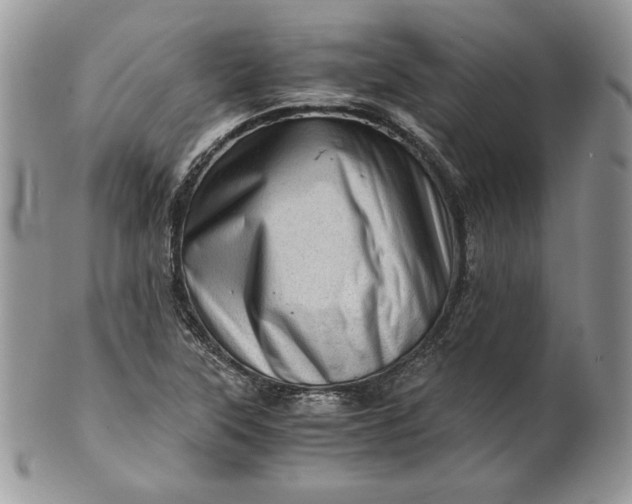 X0000101961315200808011059