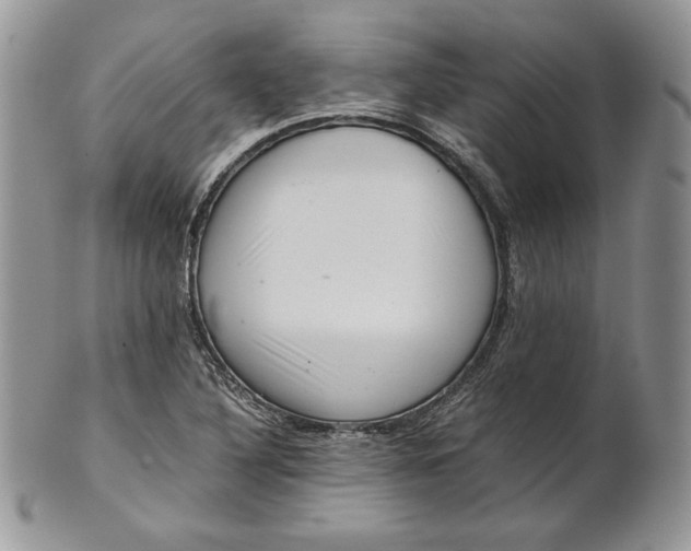 X0000101961316200808011059