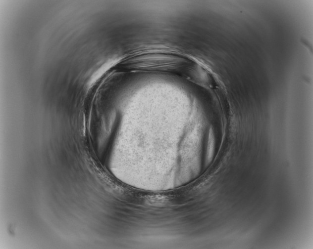 X0000101961317200808011059