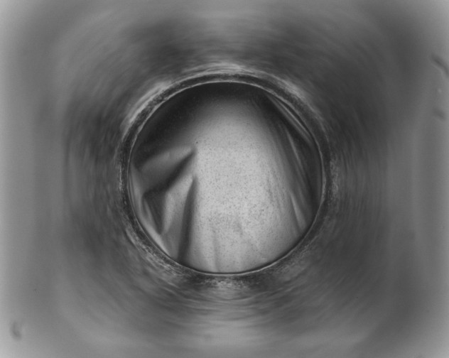 X0000101961318200808011059