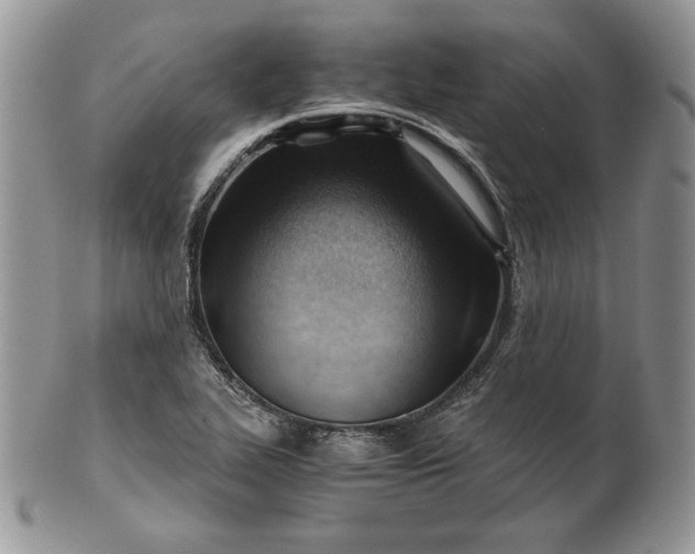 X0000101961319200808011059