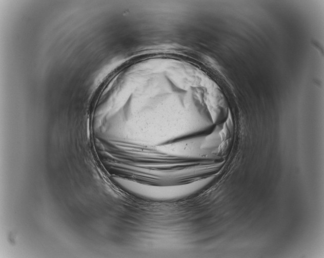 X0000101961320200808011059