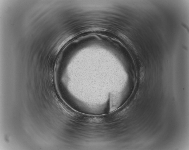 X0000101961321200808011059