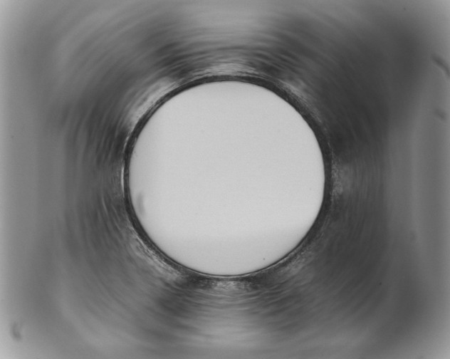 X0000101961322200808011059