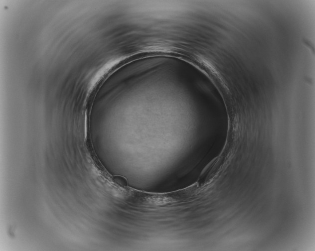 X0000101961323200808011059