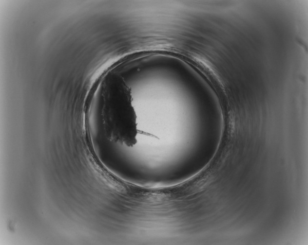 X0000101961324200808011059