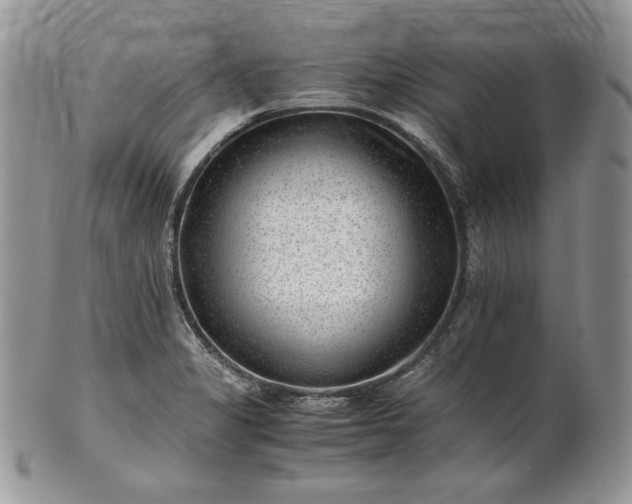 X0000101961325200808011059