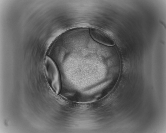 X0000101961326200808011059