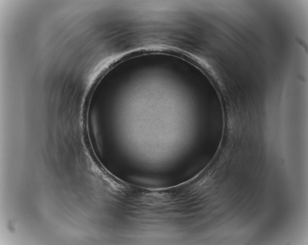 X0000101961327200808011059