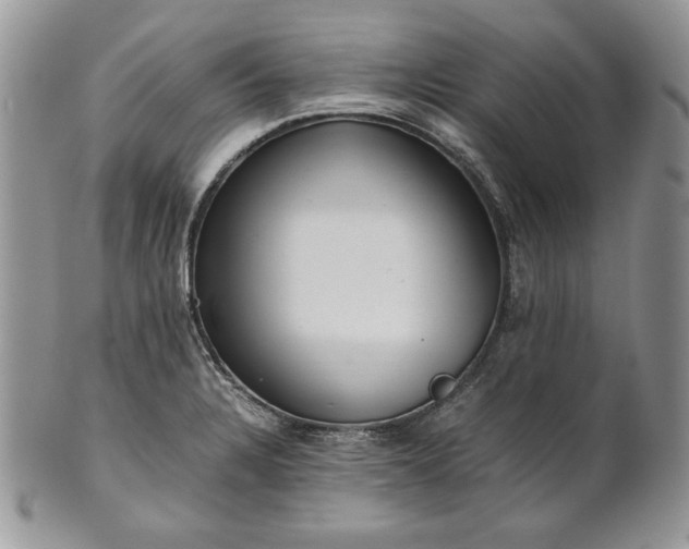 X0000101961328200808011059