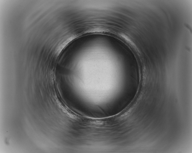 X0000101961329200808011059