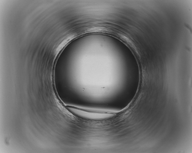 X0000101961330200808011059