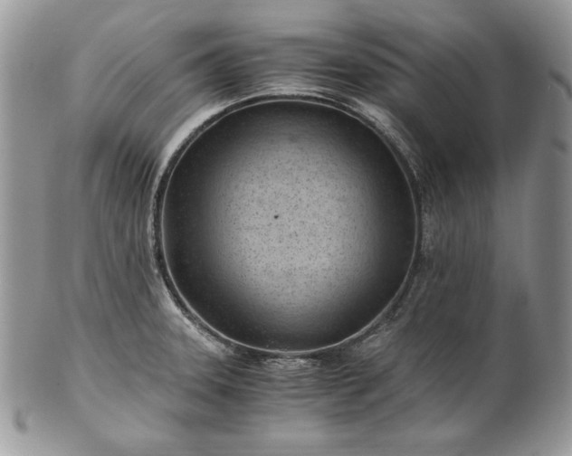 X0000101961331200808011059