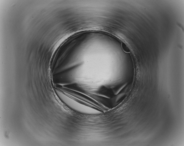 X0000101961332200808011059