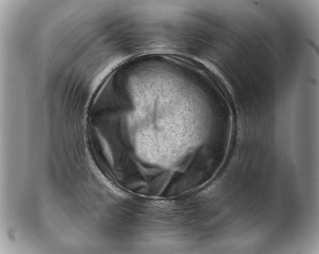 X0000101961333200808011059