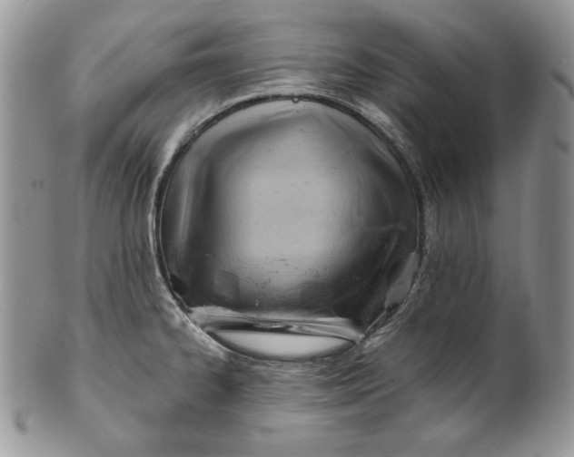 X0000101961334200808011059