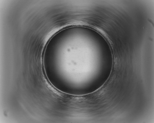 X0000101961335200808011059