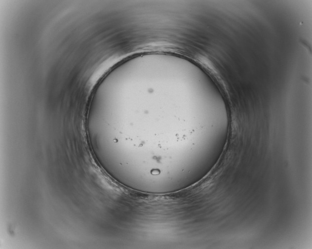 X0000101961336200808011059