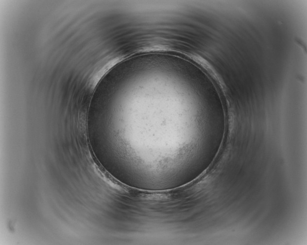 X0000101961337200808011059