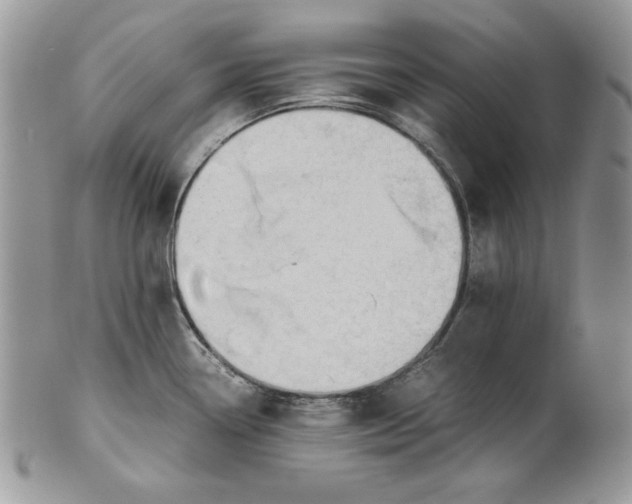 X0000101961338200808011059