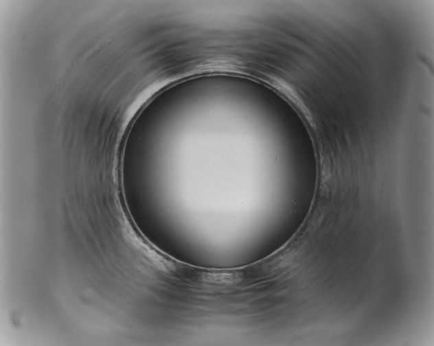 X0000101961339200808011059