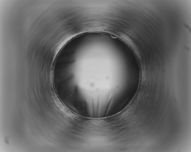 X0000101961340200808011059