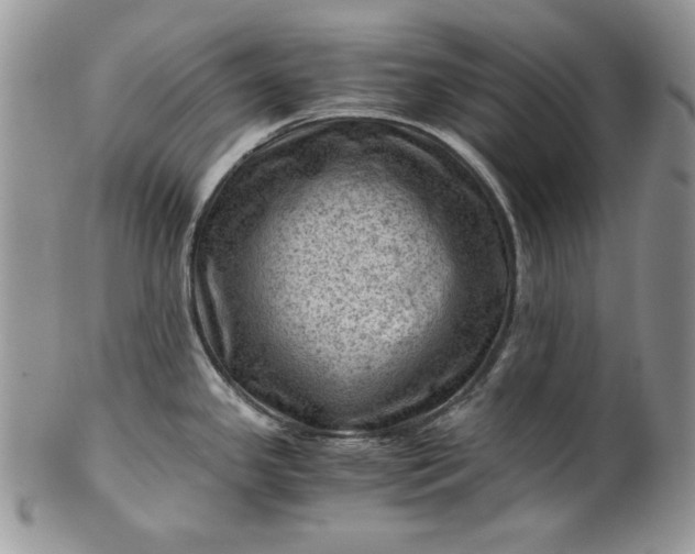 X0000101961341200808011059