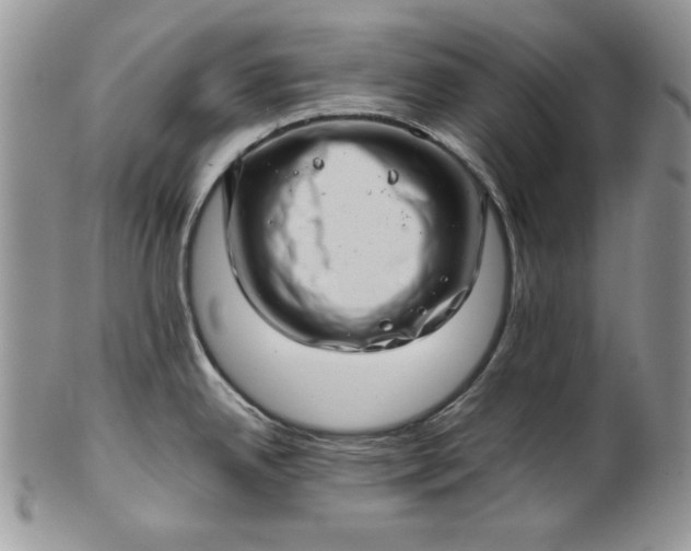 X0000101961342200808011059