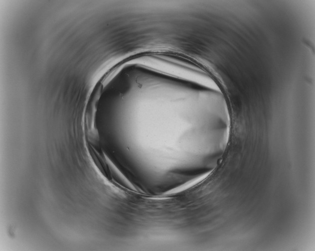 X0000101961343200808011059