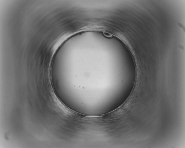 X0000101961344200808011059