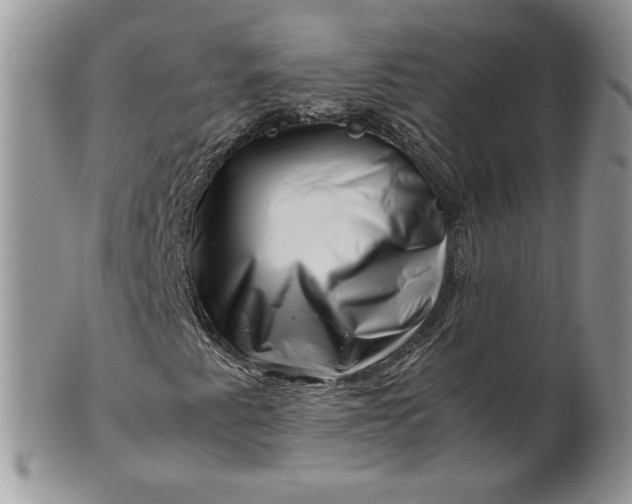 X0000101961345200808011059