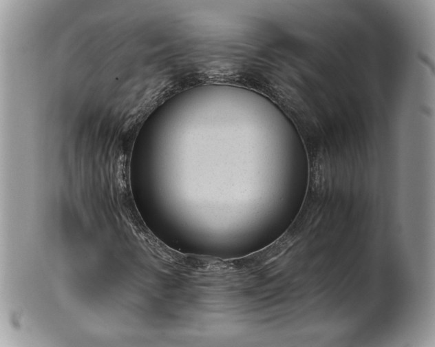 X0000101961346200808011059