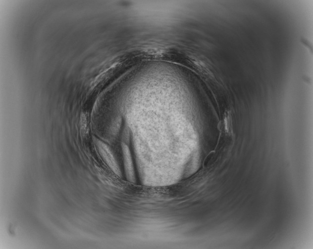 X0000101961347200808011059