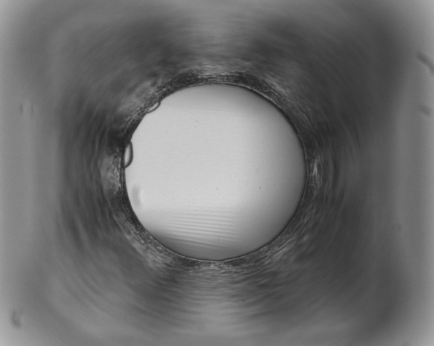 X0000101961348200808011059