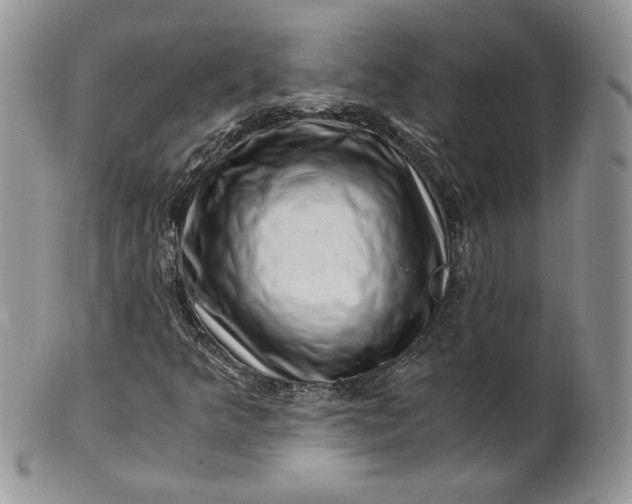 X0000101961349200808011058