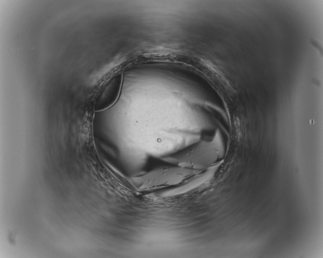 X0000101961350200808011058