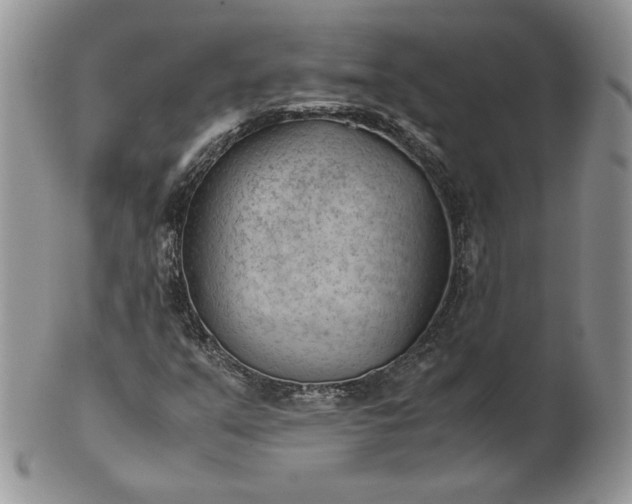 X0000101961351200808011058