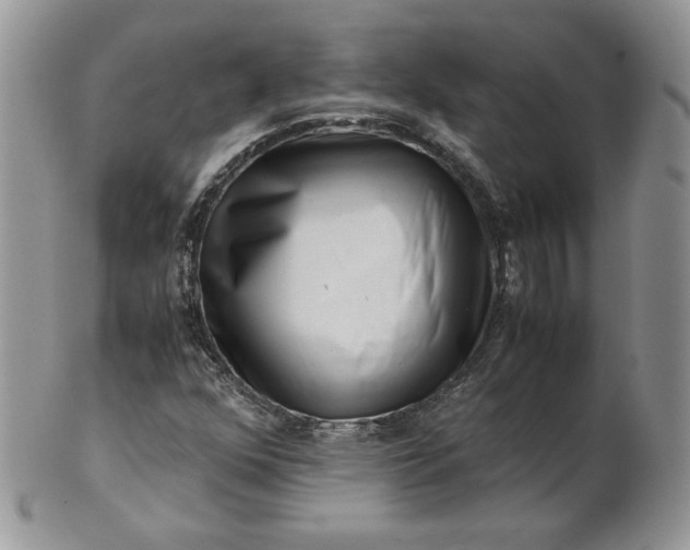 X0000101961352200808011058