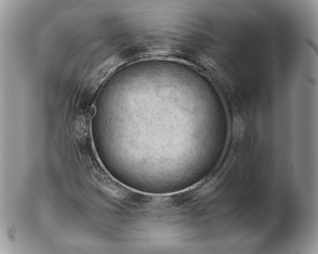 X0000101961353200808011058