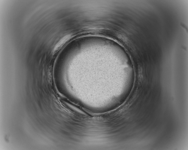 X0000101961354200808011058