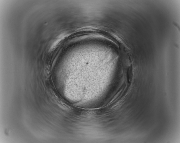 X0000101961355200808011058