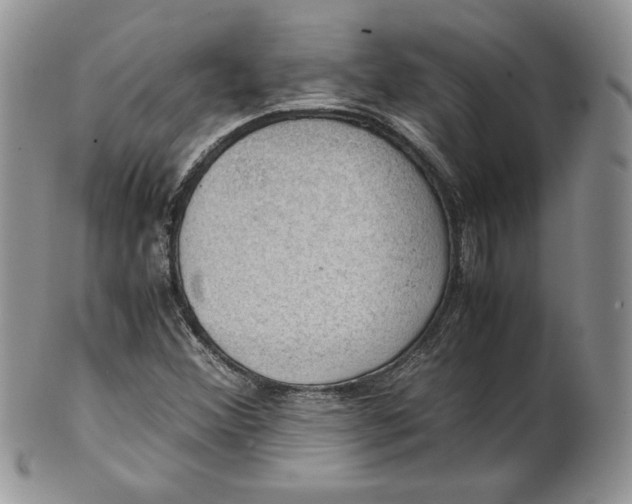 X0000101961356200808011058