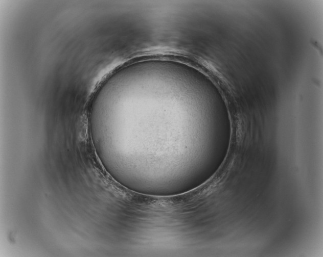 X0000101961358200808011058