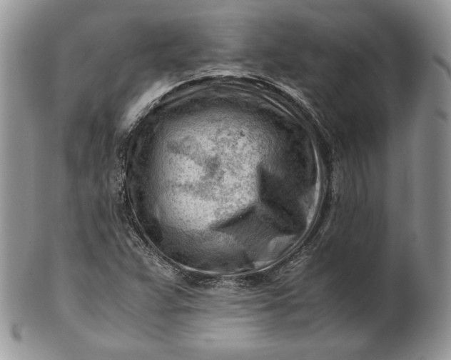 X0000101961359200808011058