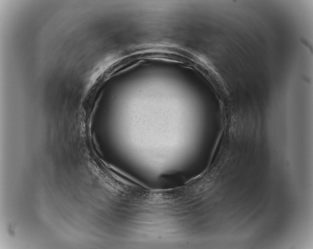 X0000101961360200808011058