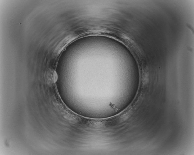 X0000101961361200808011058