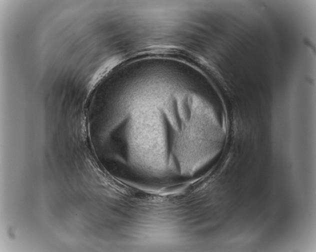 X0000101961362200808011058