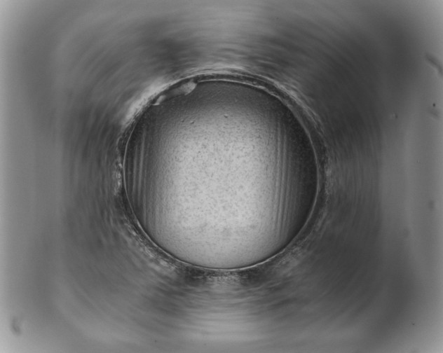 X0000101961363200808011058