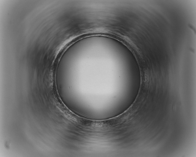 X0000101961364200808011058